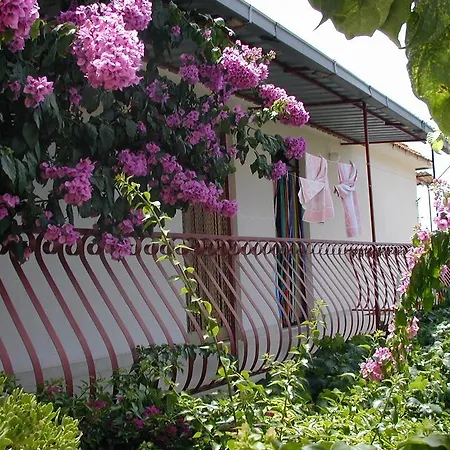 Franko Apartment Jelsa (Hvar)