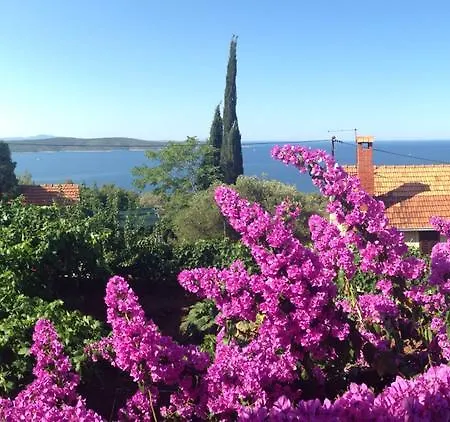 Franko * Jelsa (Hvar)